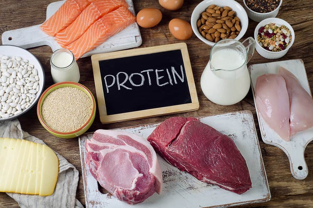 protein food