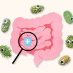 probiotics help weight loss banner